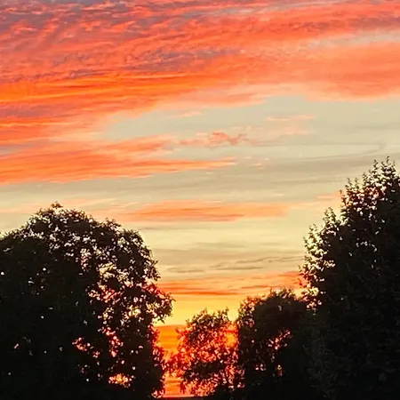 Richards Holidays * 滨海雅尔